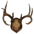 Outdoor Hunting Lab Deer Antler Mounting Plaque - Solid Old Barnwood for Mule Deer and Whitetail Deer 10" x 7.5"