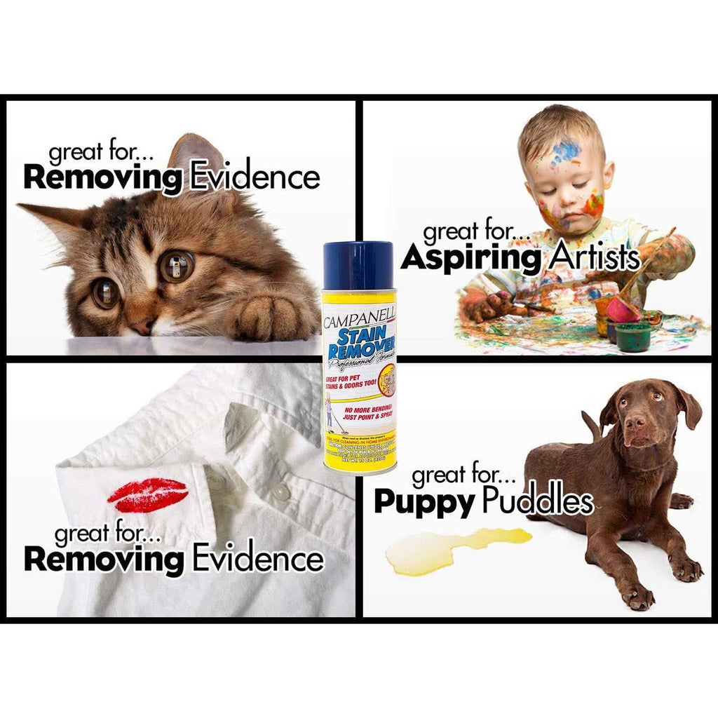 Campanelli Professional Formula Pet Stain and Odor Remover V25441