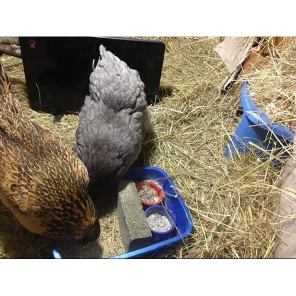 Cozy Coop Chicken Coop Heater, 200-Watt Radiant Heater O676