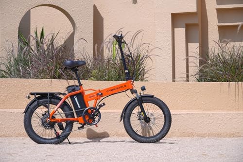 1000W Folding Electric Bike 48V 20.8AH Removable Battery 20" Fat Tire for Adults A175