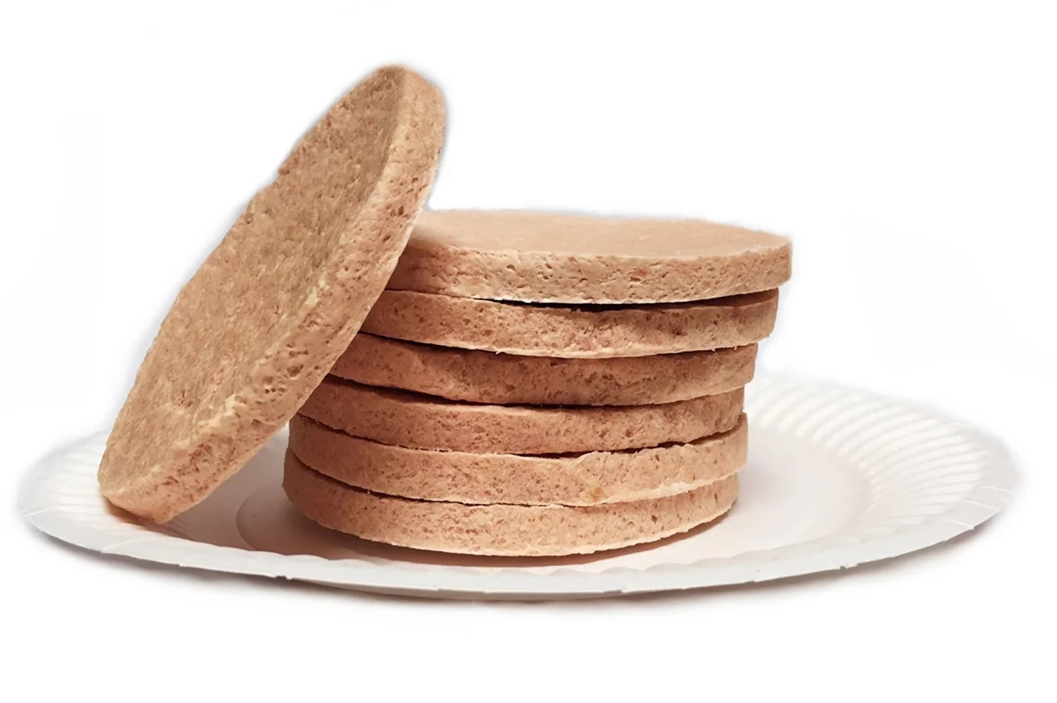 Freeze Dried Chicken Patties Emergency Food - 6 Cans J2338