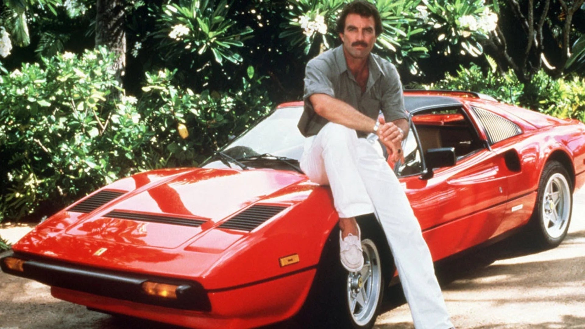 Magnum P.I.: The Complete Series Seasons 1-8 (DVD) H904
