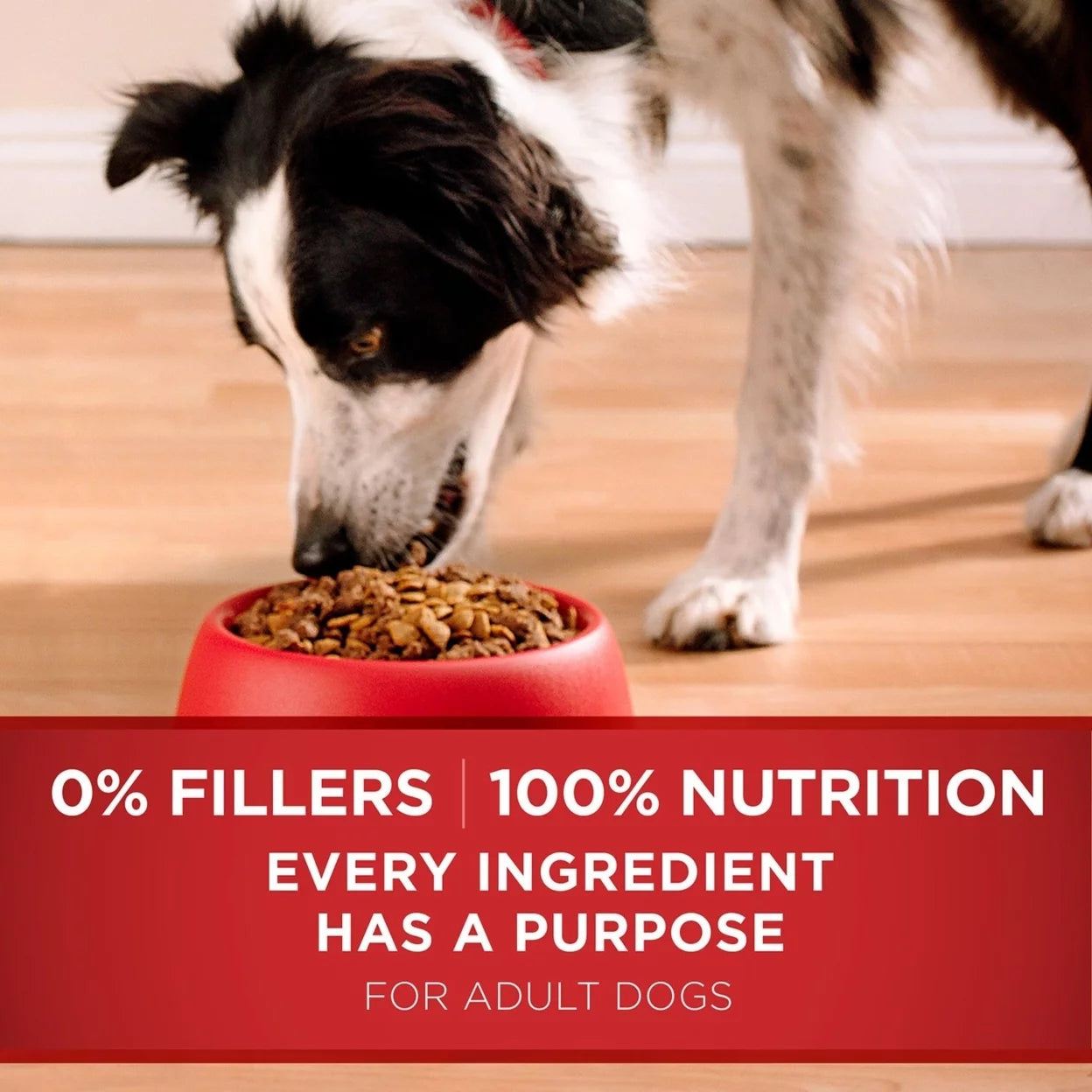 Purina ONE Smartblend Lamb & Rice Formula, 44 lb C8844
