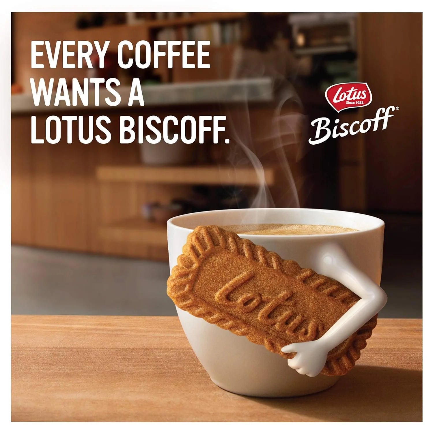 Biscoff Cookies Original Singles Pack 17.6 oz R4642
