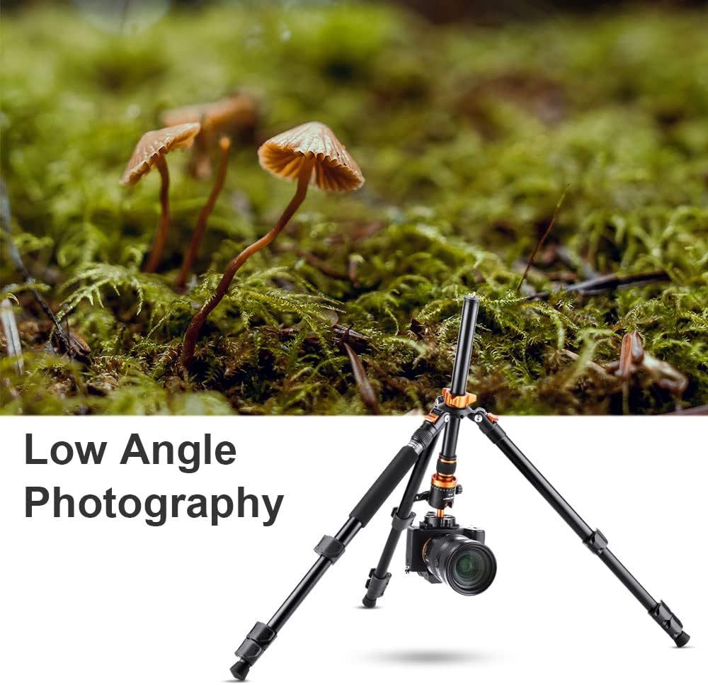K&F Concept 62 inch DSLR Camera Tripod K254A1+BH-28L Lightweight Aluminum Detachable Monopod F5332