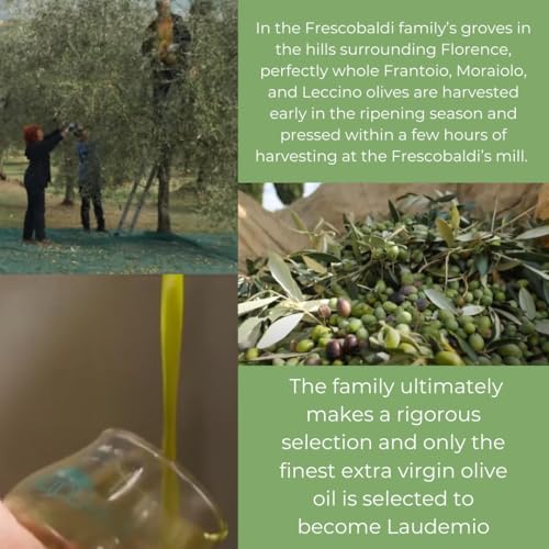 FRESCOBALDI Laudemio Extra Virgin Olive Oil, 16.9 FL Oz, Product of Tuscany, Italy R929847