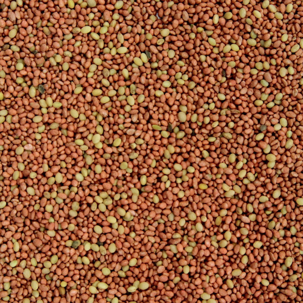 Ani-Logics Outdoors Crush Seeds of Science Clover plus Alfalfa Deer Food Plot, 10 lb Bag S510