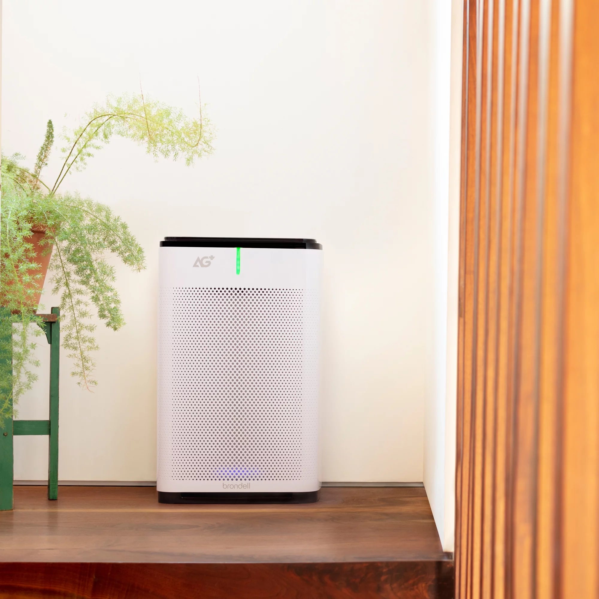 Brondell Pro Sanitizing Air Purifier for Viruses, Bacteria and Allergens B638589