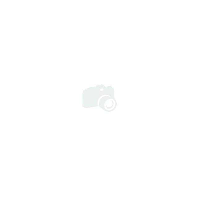 Altronix RB1224 Relay Module B522463