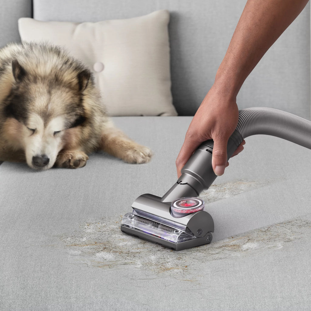 Dyson Ball Animal 3 Complete Upright Vacuum, Gold S441