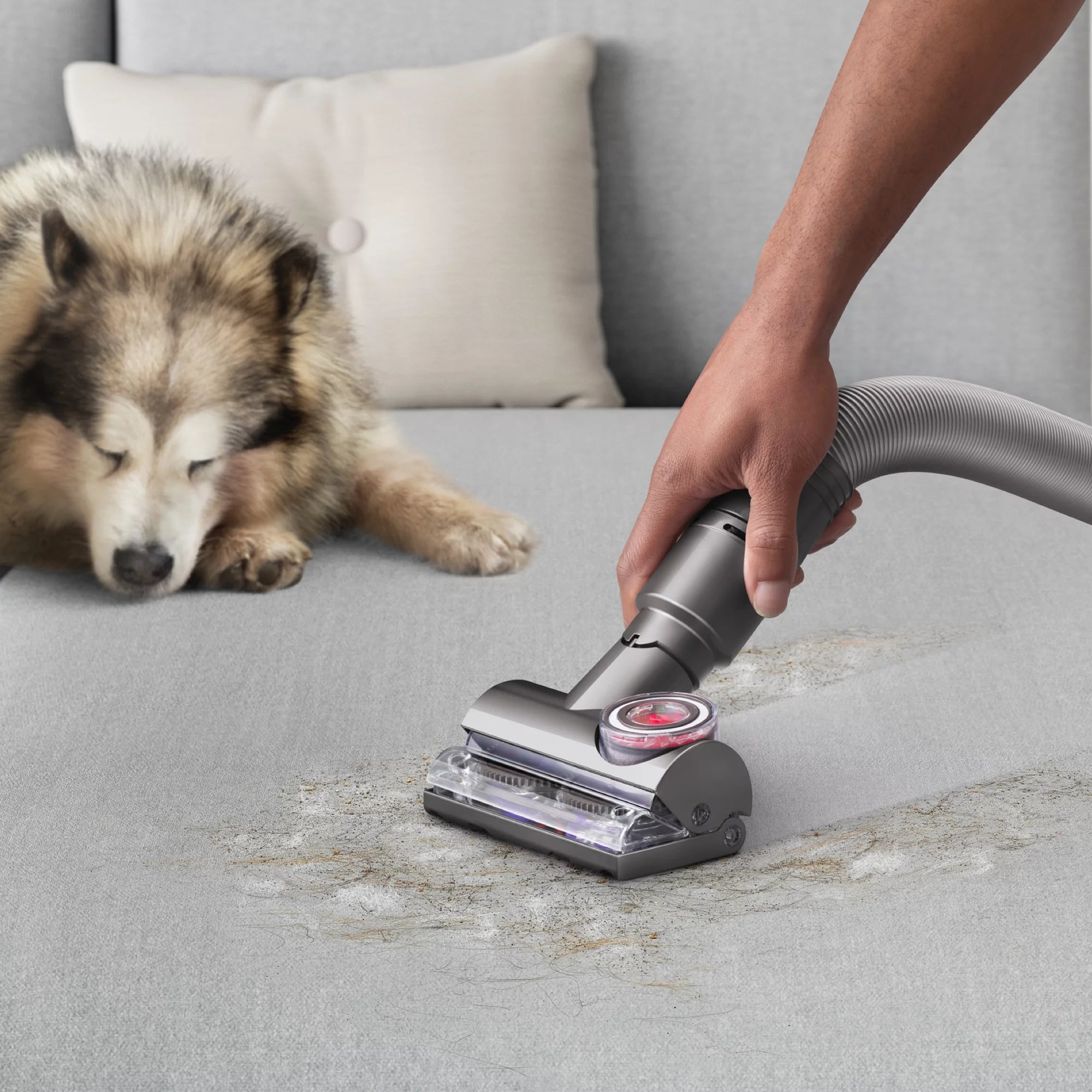 Dyson Ball Animal 3 Complete Upright Vacuum, Gold S441