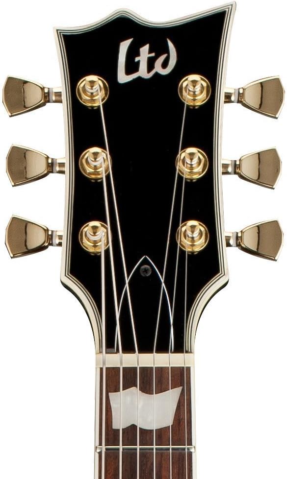 ESP LTD EC-256 Electric Guitar Black E593