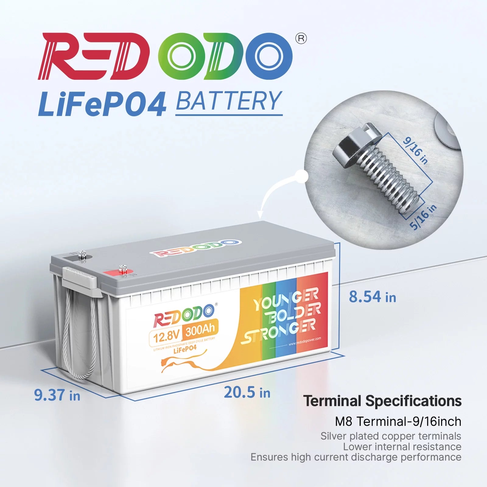 Redodo 12V 300Ah LiFePO4 Battery with 200A BMS for RV and Home L353159
