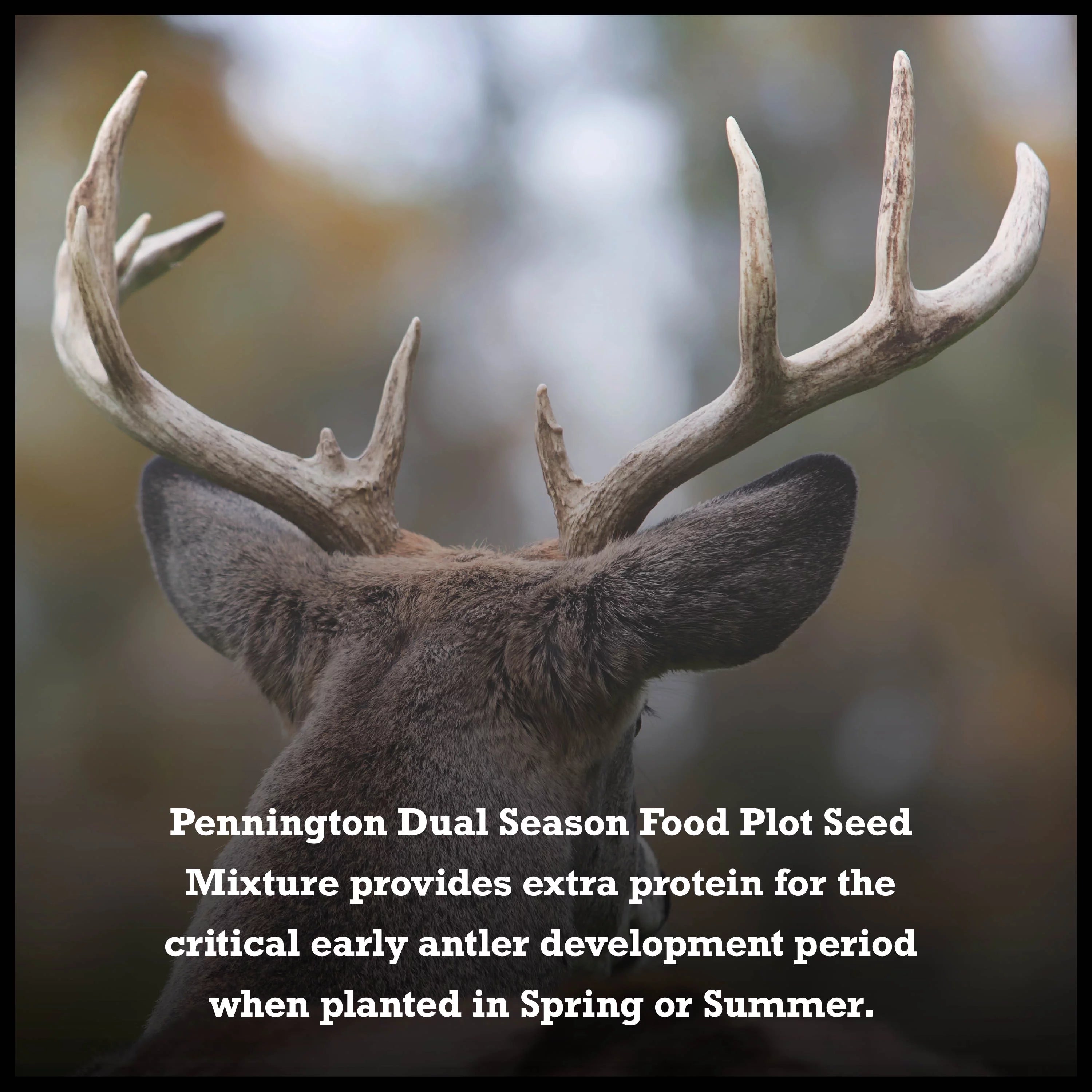 Pennington Dual Season Wildlife Food Plot Seed, 10 lb. S23606