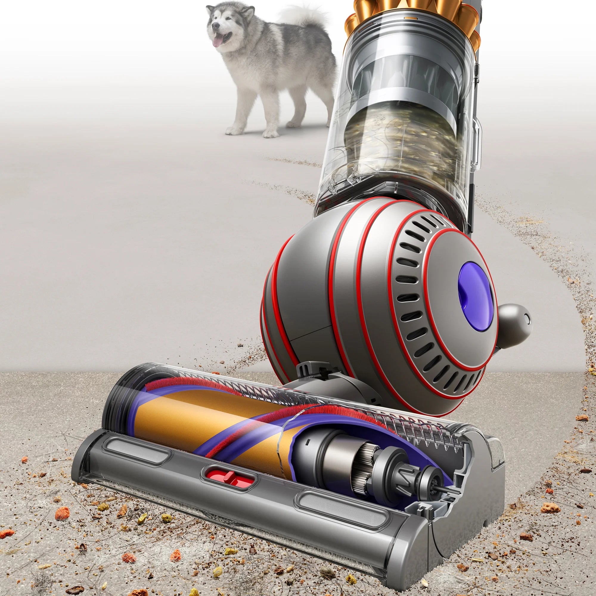 Dyson Ball Animal 3 Complete Upright Vacuum, Gold S441