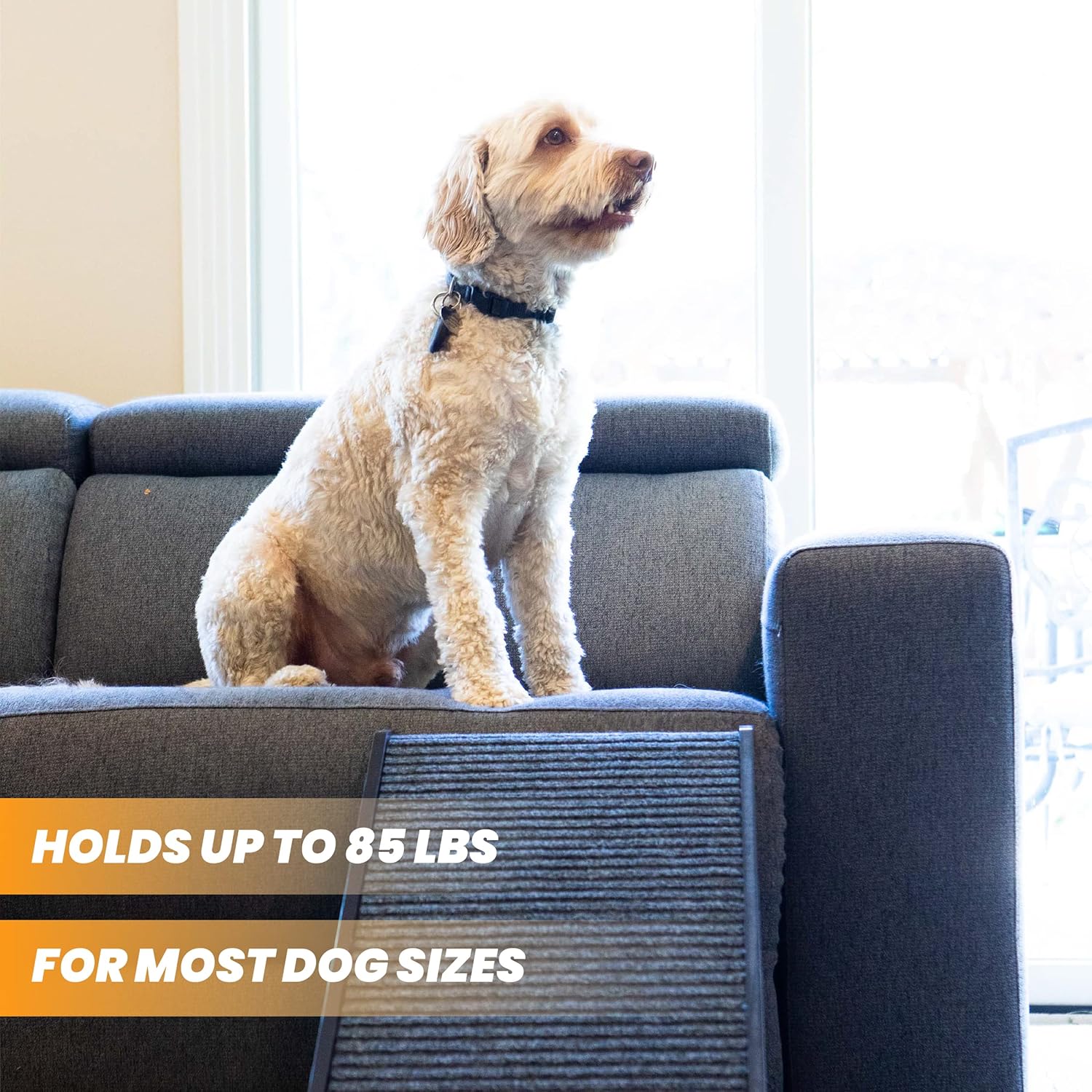 Adjustable Folding Dog Ramp for Bed, Couch, and Pets X892084