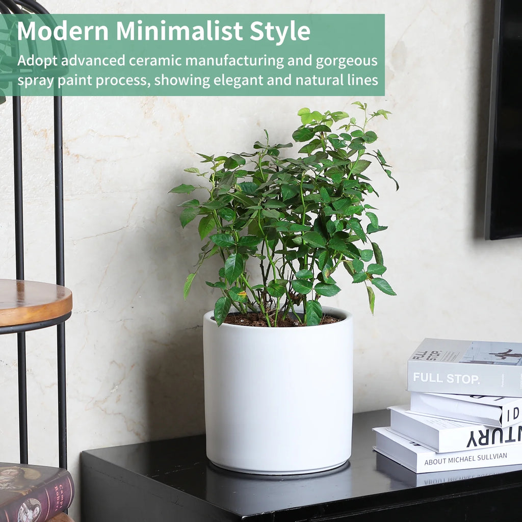 Mozing Ceramic Plant Pot 10x10 inch White with Drainage Hole K6693