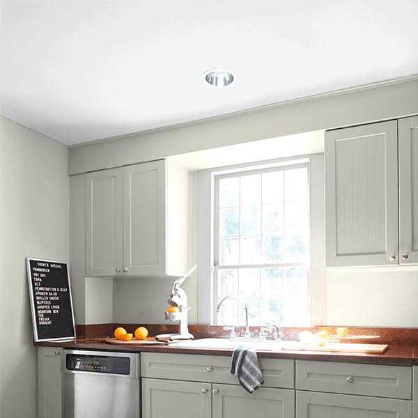 Benjamin Moore Waterborne Ceiling Paint E14299