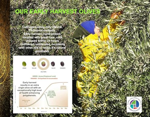 Morocco Gold Extra Virgin Olive Oil Cold Pressed 500ml A391