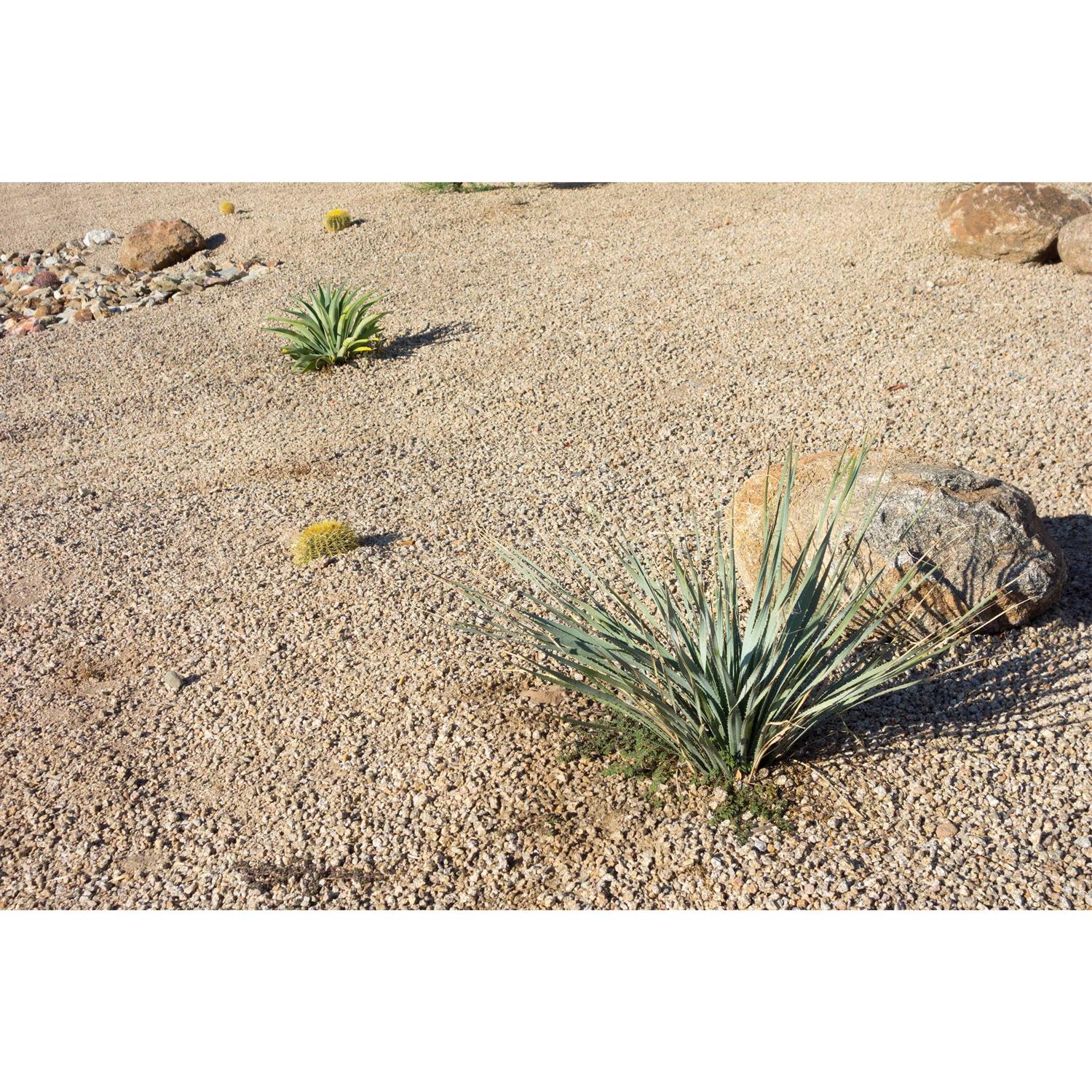 Southwest Boulder & Stone Landscape Decomposed Granite 20 Pounds Natural U143