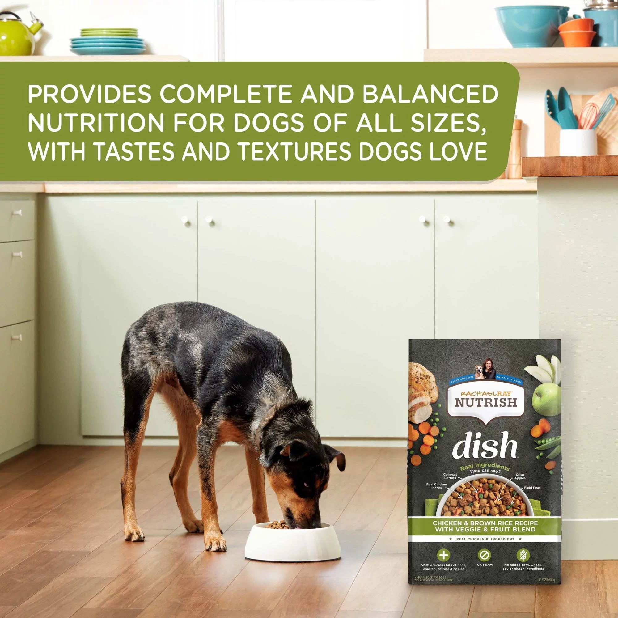 Rachael Ray Nutrish Dish Natural Dry Dog Food, Chicken & Brown Rice, 11.5 Lbs O162531