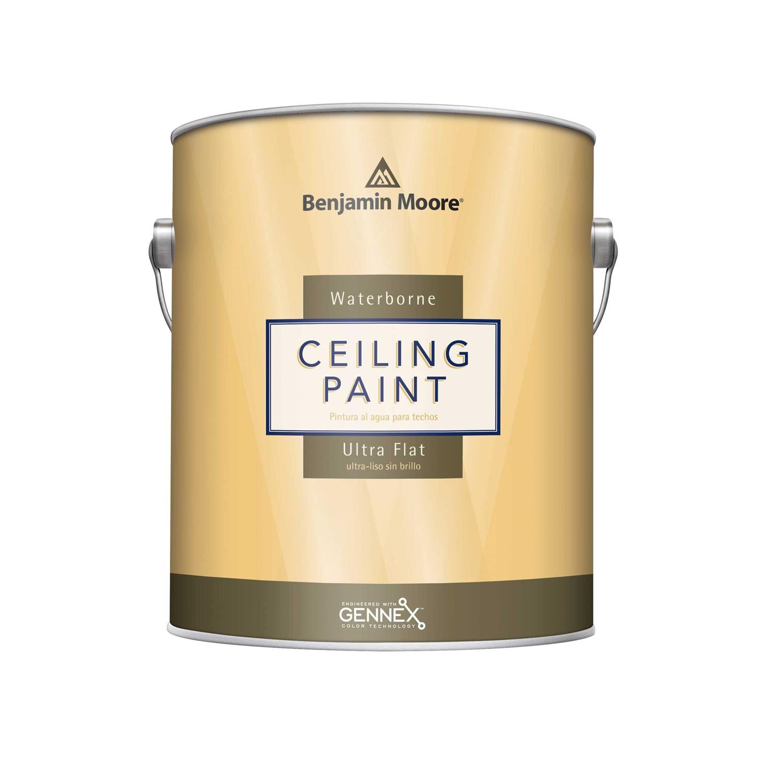 Benjamin Moore Waterborne Ceiling Paint E14299