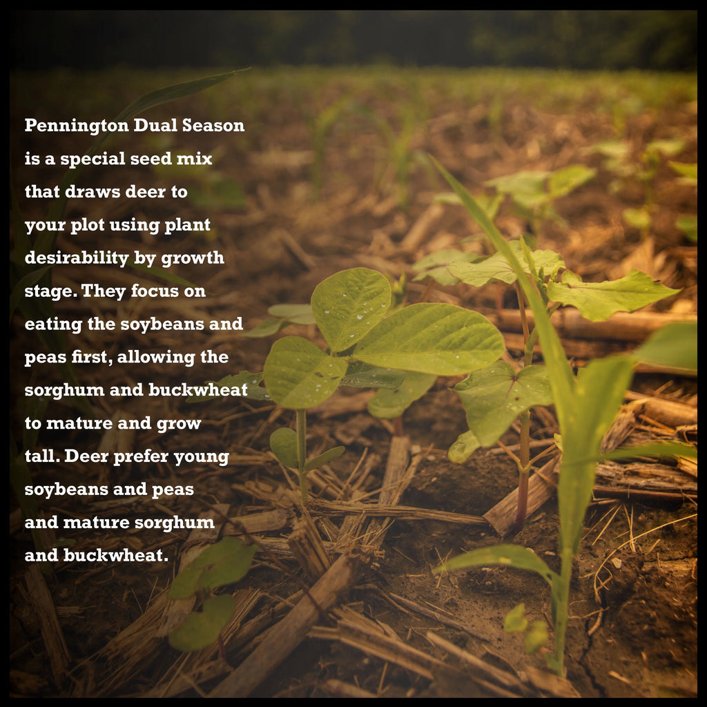 Pennington Dual Season Wildlife Food Plot Seed, 10 lb. S23606