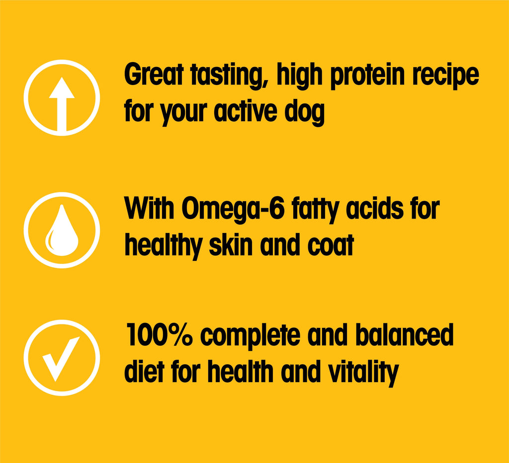 Pedigree High Protein Adult Dry Dog Food Beef and Lamb Flavor, 16 lb. Bag A937