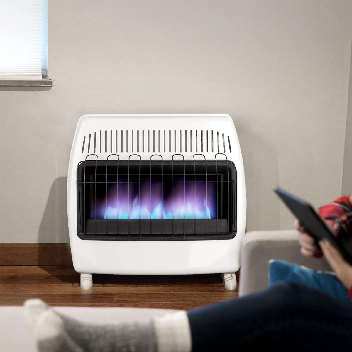 UTY 30,000 BTU Dual Fuel Vent-Free Wall Heater for Indoor Use M22233